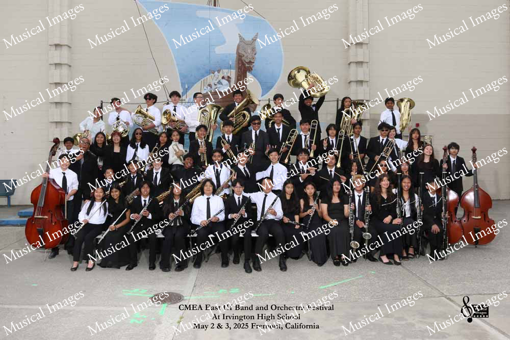 Musical Images